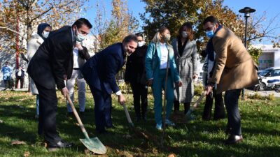 TSE Binasının Fidanları, Kestel Belediyesi’nden