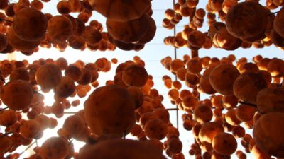 Alternatif tıpta doğal ilaç! Kış hastalıklardan koruyor…