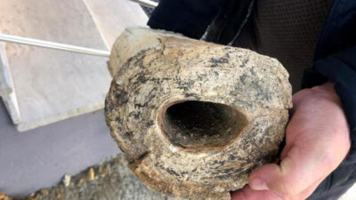 Köylüler buldu! Tam 8 milyon yıllık…