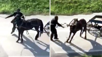 Bursa’da dehşet…Yükü çekmeyen atı böyle kırbaçladı