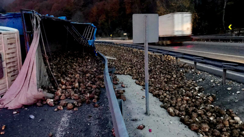 Bursa'nın İnegöl ilçesinde tırın devrilmesi sonucu 20 ton pancar yola
