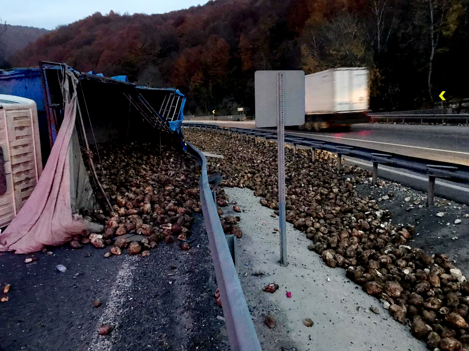 Bursa’da pancar yüklü tır devrildi