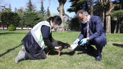 Büyükşehir’den can dostlarına modern yuva