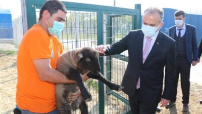 Çaresizlik Bursa Büyükşehir’le umuda dönüşüyor