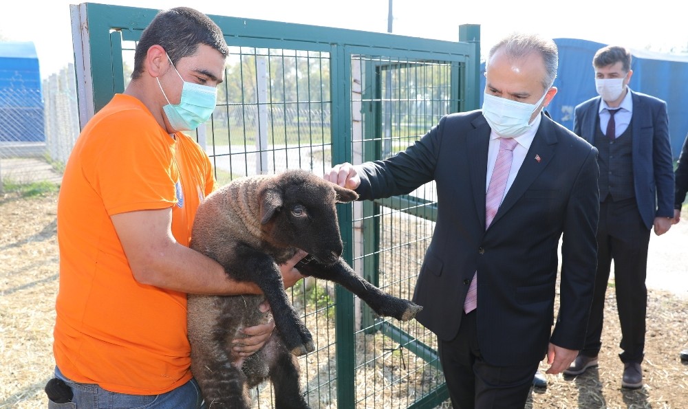 Çaresizlik Bursa Büyükşehir’le umuda dönüşüyor