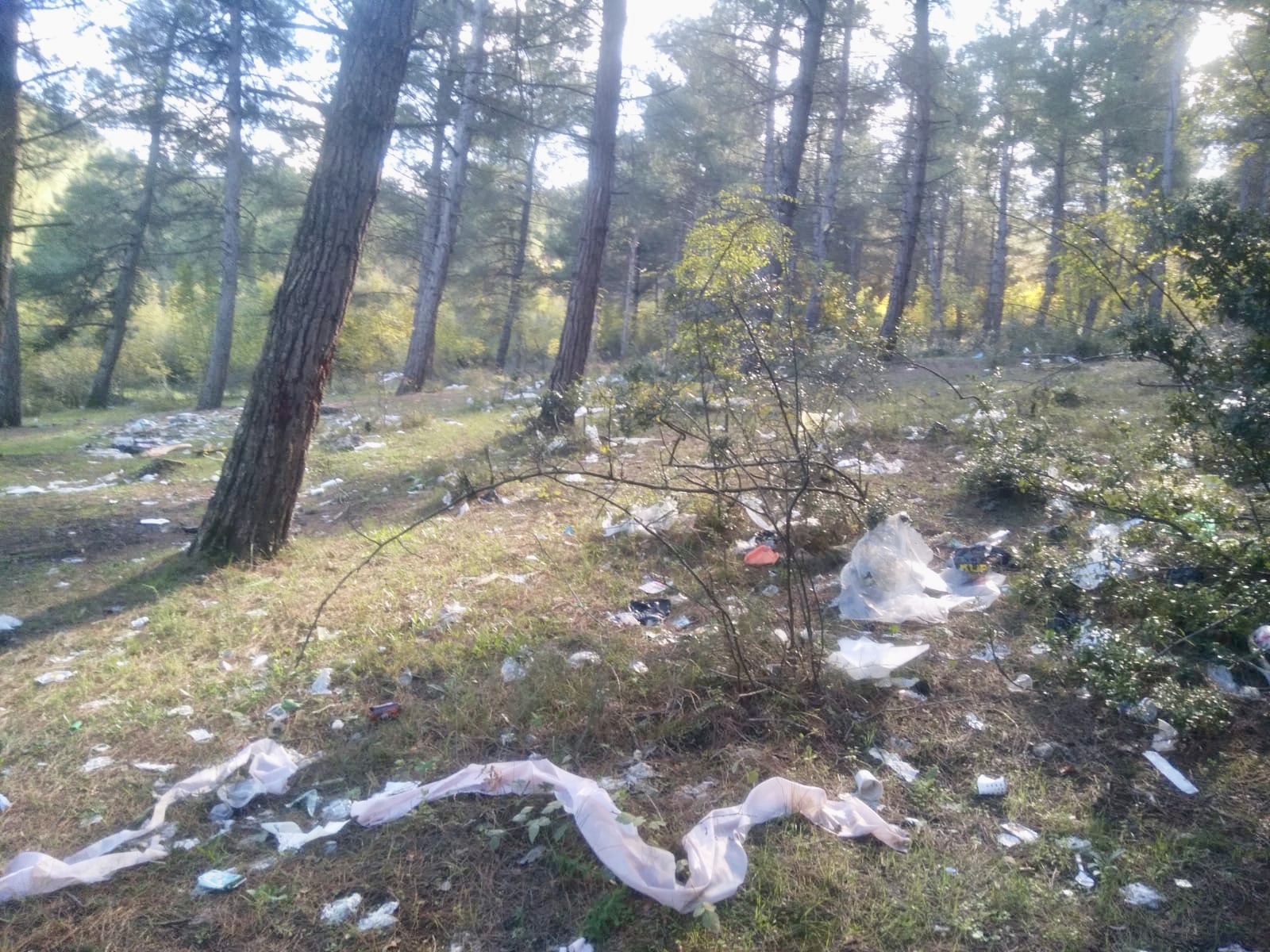 Çim kayağı pisti çevresi içler acısı