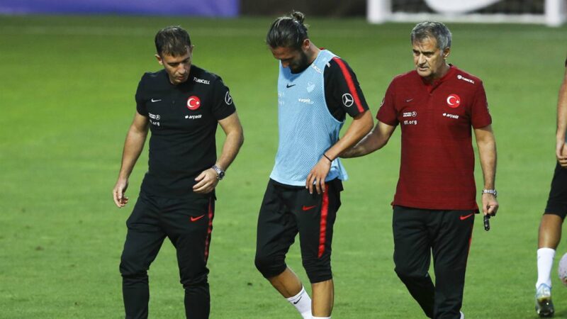 A Milli Takım Teknik Direktörü Şenol Güneş, medya mensupları ile
