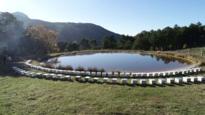 Dünyadan talep yağıyor… Sadece Türkiye’de bulunuyor…