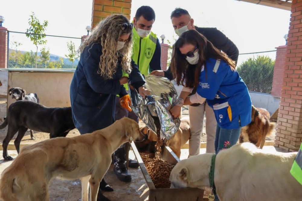 İzmir’deki can dostlar da unutulmadı