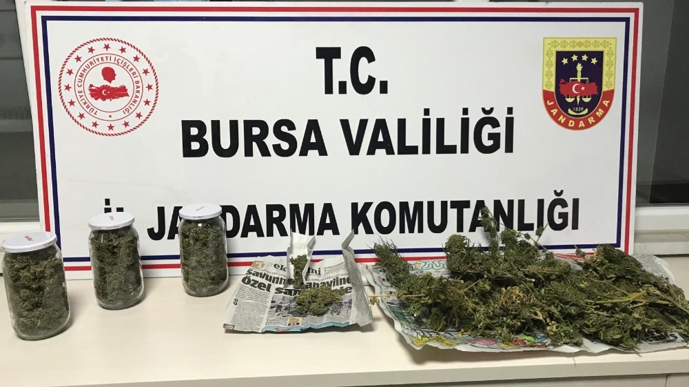 Bursa’da jandarmadan uyuşturucu operasyonu