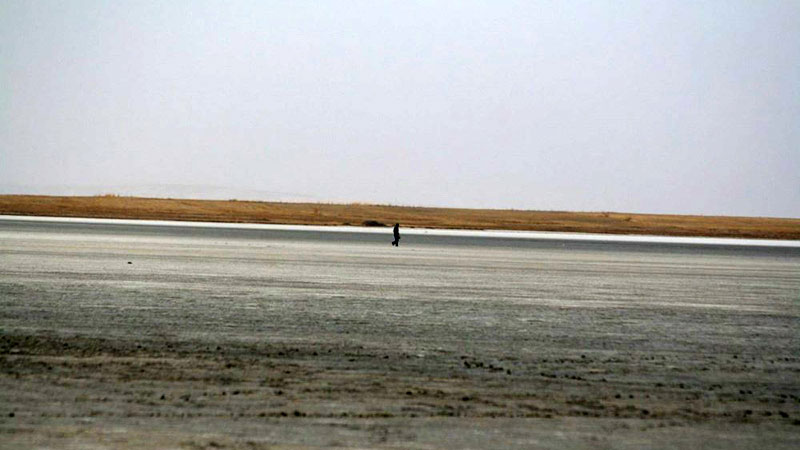 Seyfe Gölü kurudu Seyfe Gölü kurudu