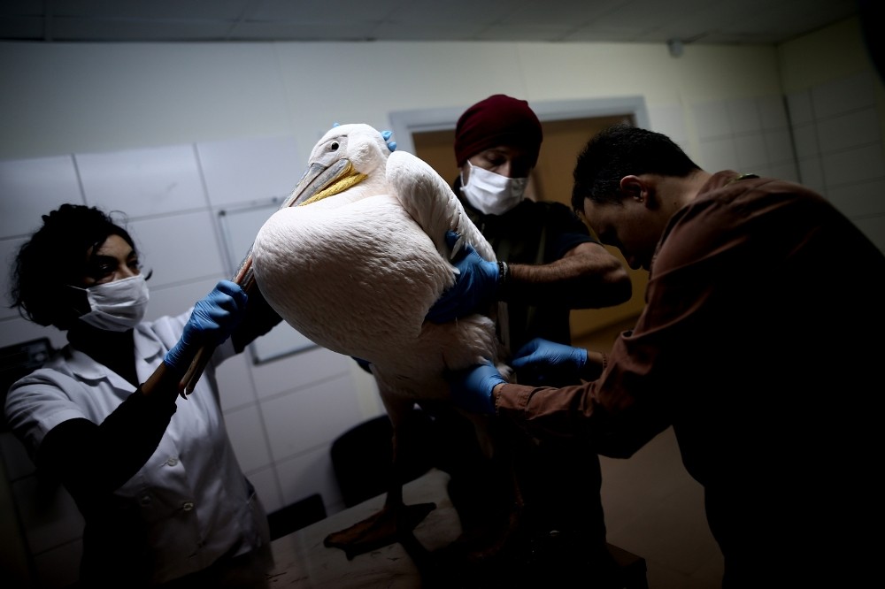 Yer: Bursa… Bu nasıl bir vahşet Yer: Bursa… Bu nasıl bir vahşet