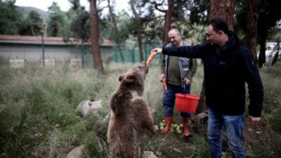 Türkiye’de sadece Bursa’da var! 5 yeni üye daha…