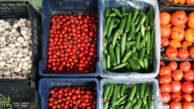 Yaş meyve ve sebze ihracatında ekim ayında yüzde 18 artış