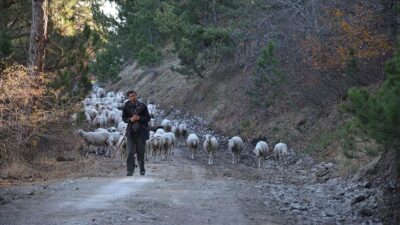 Karakeçili Yörüklerinin zorlu göçü başladı