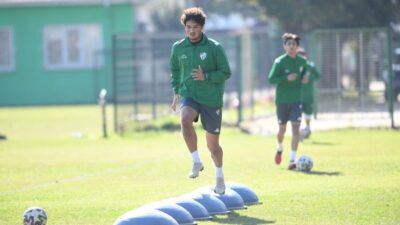 Timsah’ın yeni adresi Vakıfköy…