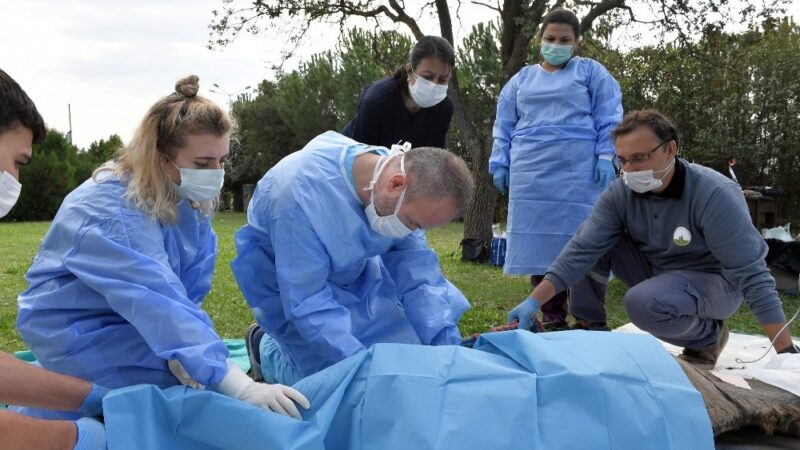 Osmangazi Belediyesi Çevre Koruma ve Kontrol Müdürlüğü’nde görevli hekimler, yolda