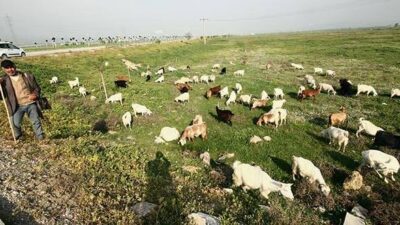 Cezaevi yeri Yenişehir’e kaydı Cumhur ve Millet İttifakı birleşti