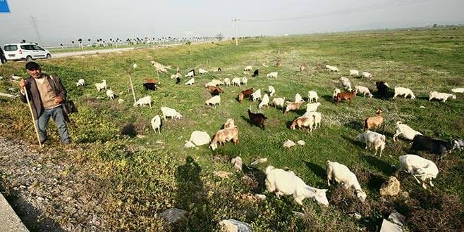 Cezaevi yeri Yenişehir’e kaydı Cumhur ve Millet İttifakı birleşti