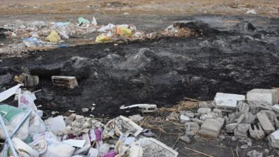 Bunun adı vahşet: Köpekleri yakarak öldürmüşler