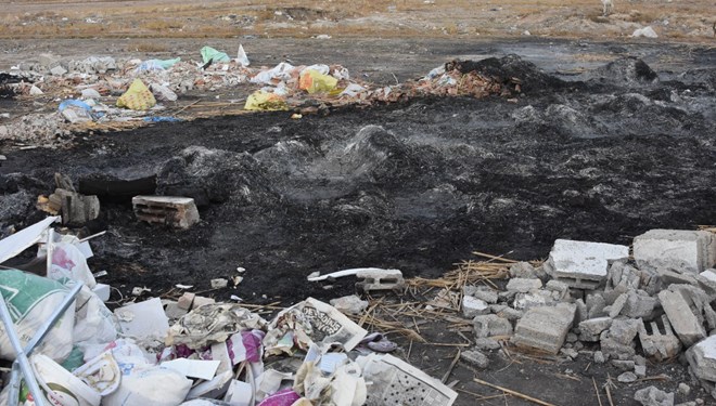Bunun adı vahşet: Köpekleri yakarak öldürmüşler