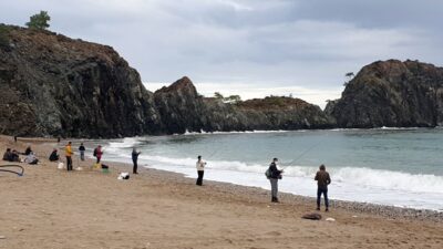 İlginç görüntü! Duyan sahile koştu