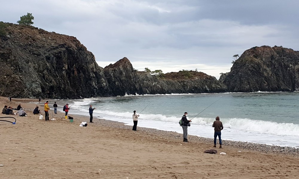 İlginç görüntü! Duyan sahile koştu