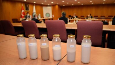 Uludağ Üniversitesi’nde ceviz suyundan süt ve yoğurt yapıldı