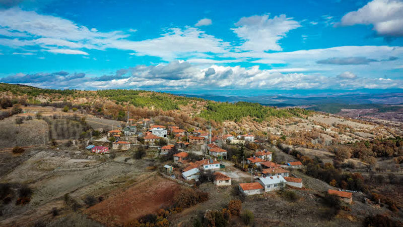 Bursa'nın Harmancık ilçesinde yeni tip koronavirüs (Kovid-19) salgını öncesi 4