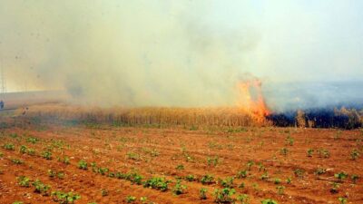 Alevlerin arasında kaldı! Feci ölüm…