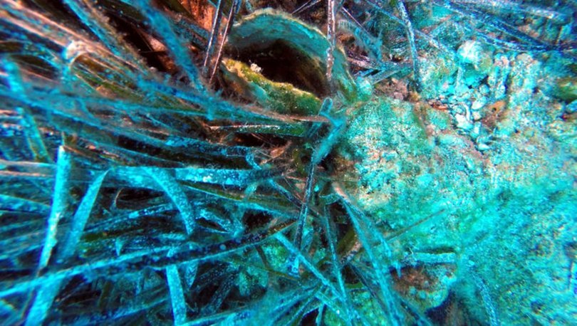 Korkutan gelişme! Marmara’ya sıçradı