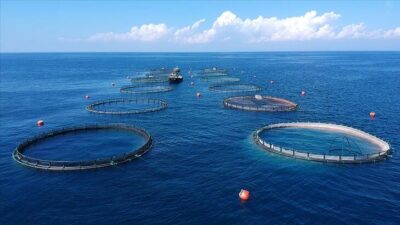 Resmi Gazete’de yayımlandı! Son başvuru 25 Aralık…