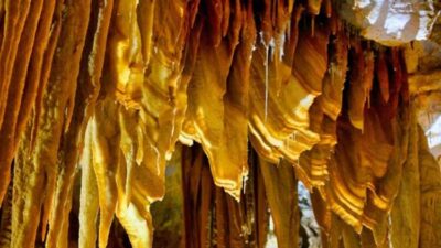 Astım hastaları burada şifa buluyor!