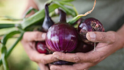 Vücutta yarattığı 7 muhteşem değişim…