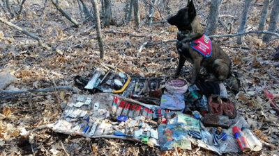 Bingöl’de PKK’lı teröristlerin kullandığı 2 sığınak imha edildi