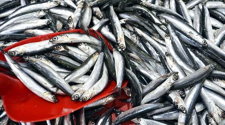 El konuldu! 1 Eylül’den bugüne kadar…