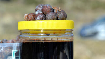 Astım, bronşit ve öksürüğe çok faydalı! Bu pekmezi….