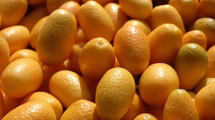 Koronavirüs sürecinde kamkata talep arttı