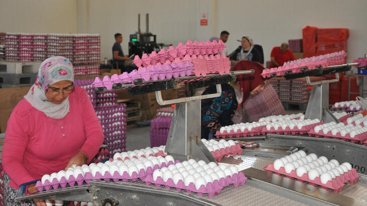 Fiyat artışı devam ediyor! Açık ara solladı