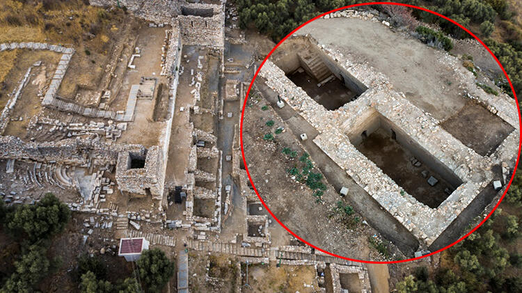 Heyecanlandıran keşif! Hepsi birbiriyle bağlantılı…