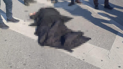 Ehliyetsiz sürücü dehşet saçtı! Yol ortasında can verdi