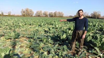 Çiftçiye şok! Tarlaya gidince gördüklerine inanamadı