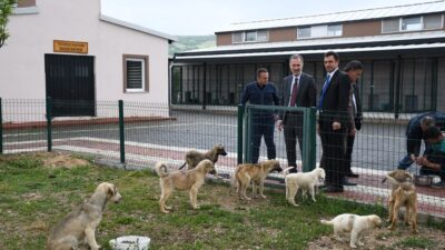 İnegöl Belediyesi 7700 can dostuna şifa oldu