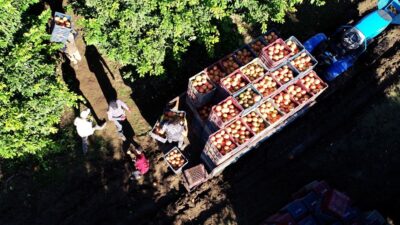 Altın çağını yaşıyor!