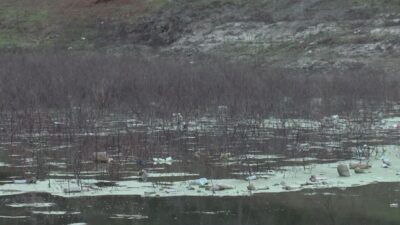 Uzmanlardan kritik uyarı! Kuraklıkla beklenen büyük tehlike