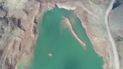 Ürküten görüntü! ‘Son saatlerini yaşıyor’