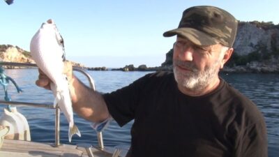 İstilacı balon balığı Marmara yolunda