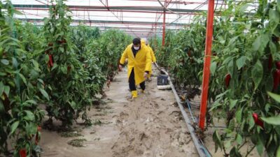 Antalya’da hasar tespiti yapılıyor