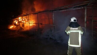 At çiftliği alev alev yandı: 10 at telef oldu