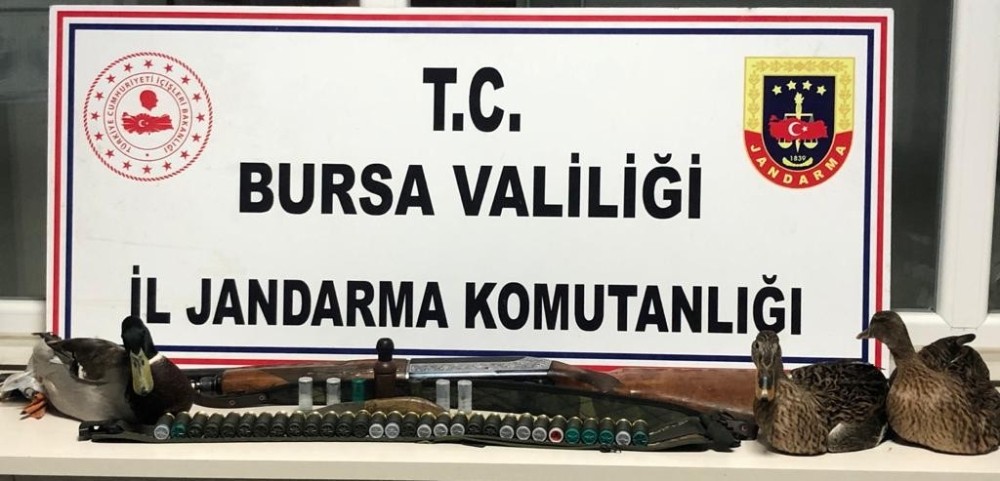 Bursa’da ava giden avcılar gelirken jandarmaya av oldular